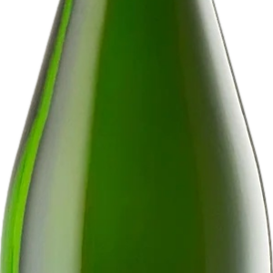 Product image of Champagne Michel Gonet Vindey Montgueux Blanc de Blancs from 8wines