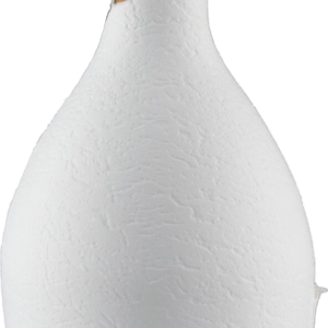 Product image of Champagne Ruinart Blanc de Blancs Second Skin from 8wines