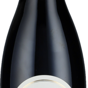 Product image of Domaine Charles Audoin Au Champ Salomon Rouge 2021 from 8wines