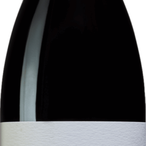 Product image of Domaines Lupier Raul Perez El Terroir 2018 from 8wines