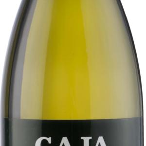 Product image of Gaja Gaia & Rey Chardonnay 2020 from 8wines