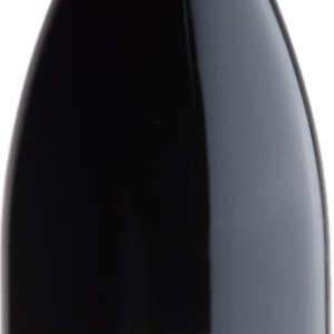 Product image of Domaine Alain Voge Cornas Les Vieilles Vignes 2017 from 8wines