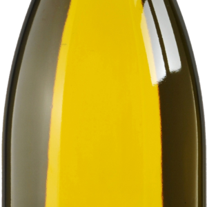 Product image of Domaine Besson Chablis Premier Cru Montmains 2021 from 8wines