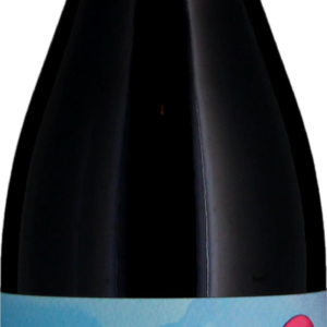 Product image of Dominio del Aguila Picaro Vinas Viejas 2021 from 8wines
