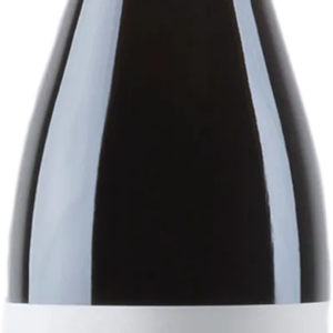 Product image of Dominio del Aguila Reserva 2019 from 8wines