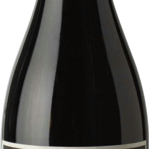 Product image of Pedro Parra Imaginador Cinsault 2021 from 8wines