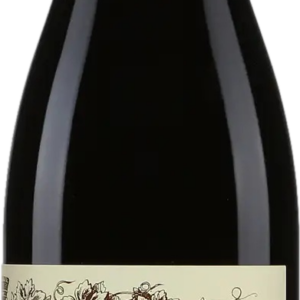 Product image of Domaine Pierre Guillemot Bourgogne Pinot Noir 2022 from 8wines