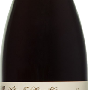 Product image of Domaine Pierre Guillemot Savigny les Beaune Vieilles Vignes 2022 from 8wines